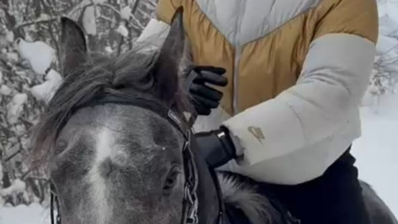 Düzce’de dört nala kar üstü at şovu: Muhammed Bişgin ilgi odağı oldu