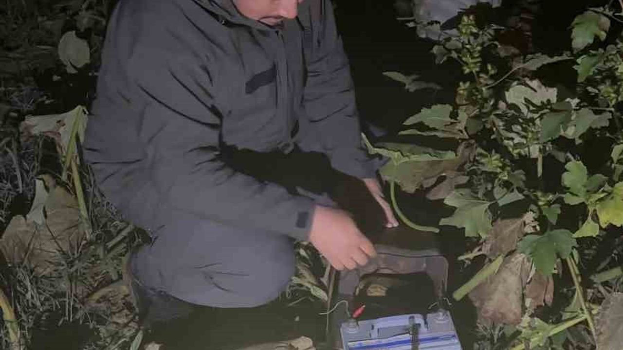 Düzce'de Kanunsuz Ava Geçit Yok: 121 Belge, 91 İdari İşlem