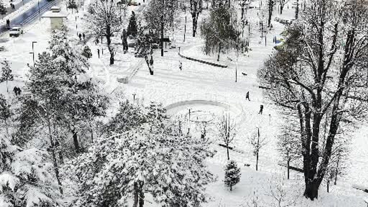 Düzce'de Tropikal Öğrencilerin İlk Kar Deneyimi