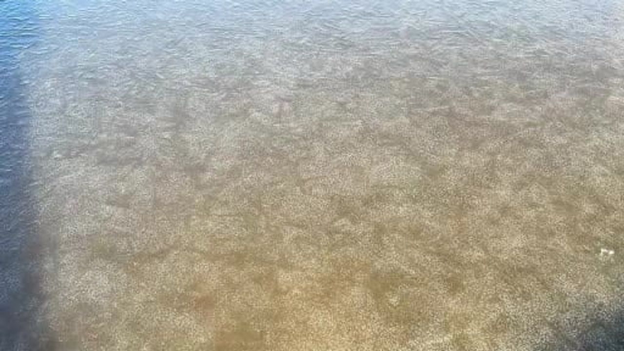 Eber Gölü Kısmen Dondu: Afyonkarahisar'da Hava Eksi 4 Dereceye Düştü