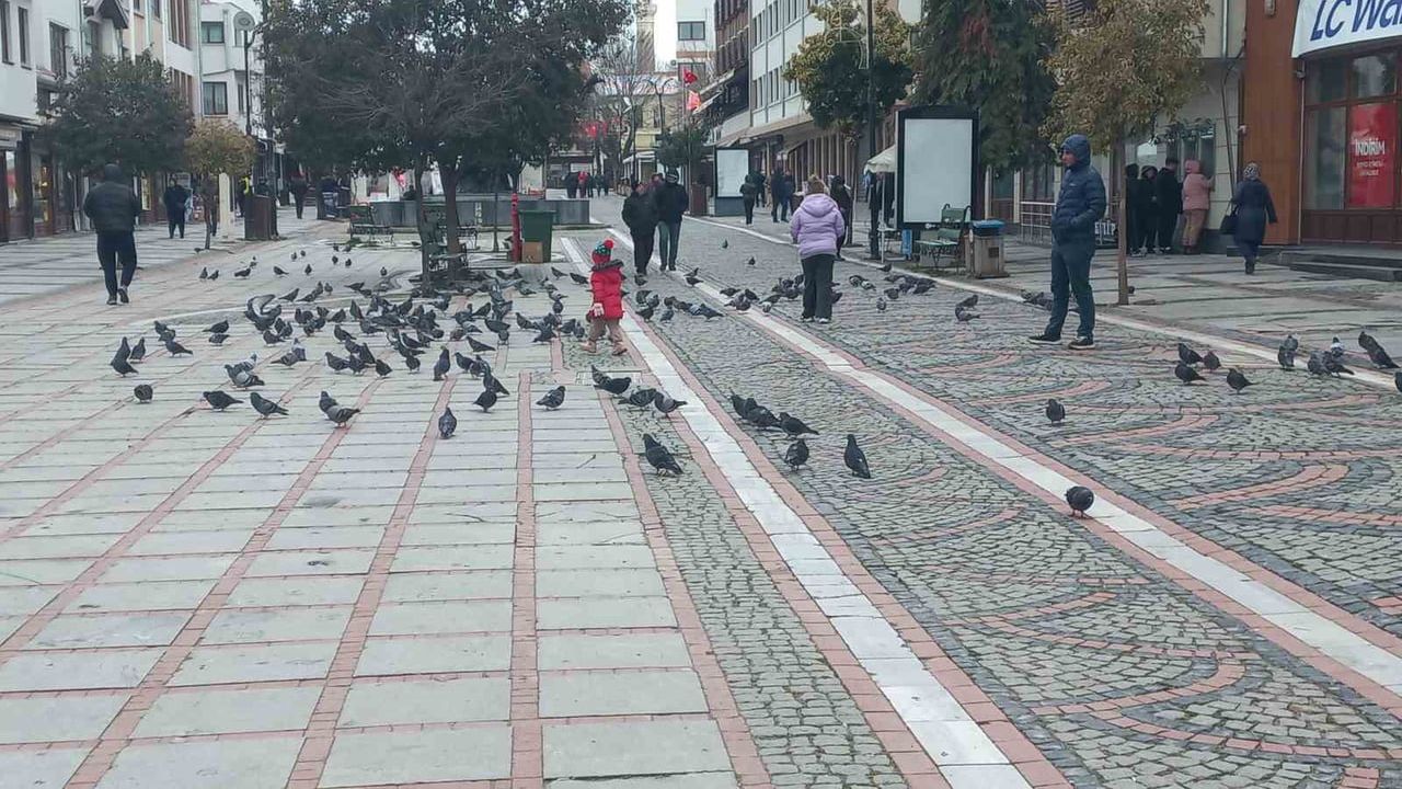 Edirne'de dondurucu soğuk: Saraçlar Caddesi boşaldı, Bulgarlar mağazalarda