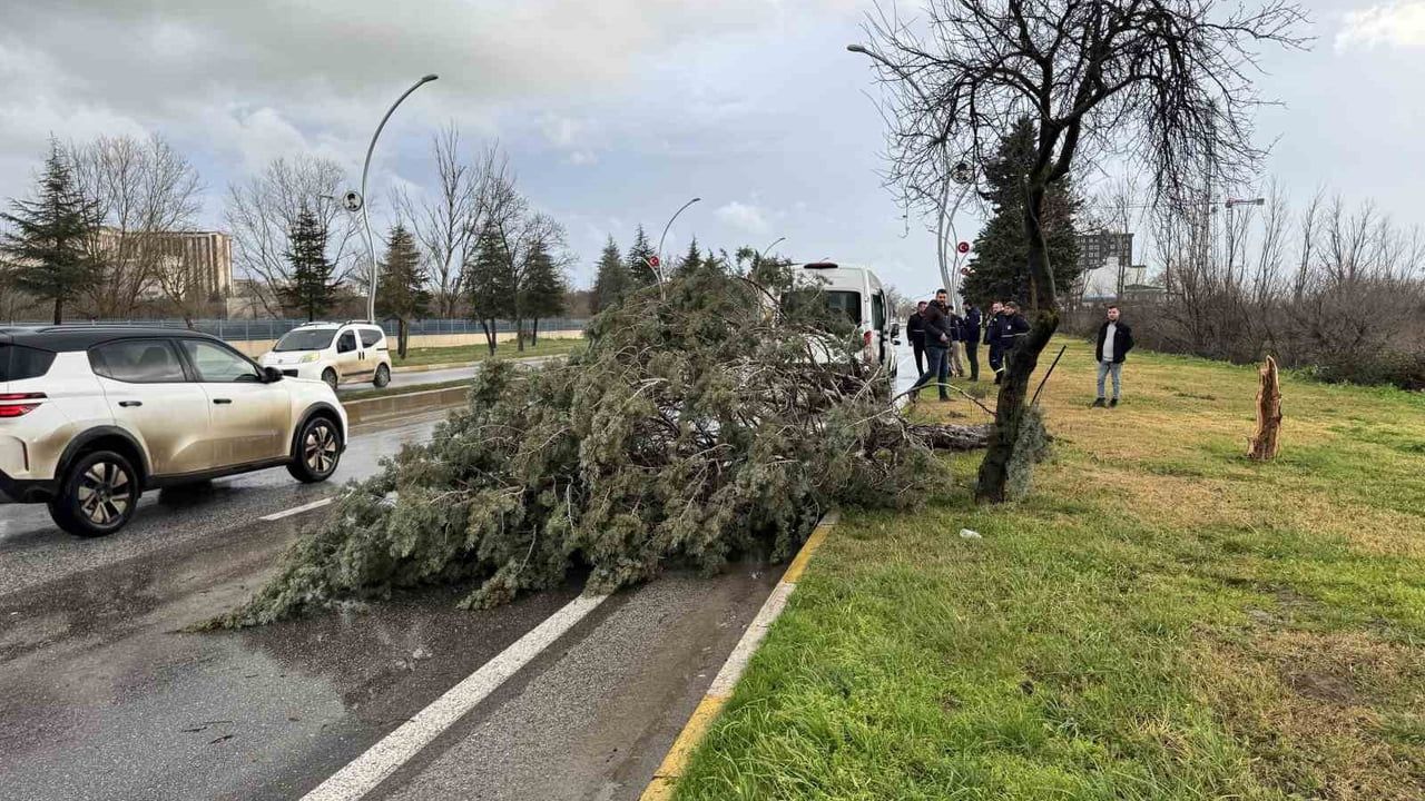 Edirne’de Fırtına: Saatte 60 Kilometre Hızla Ağaçlar Devrildi
