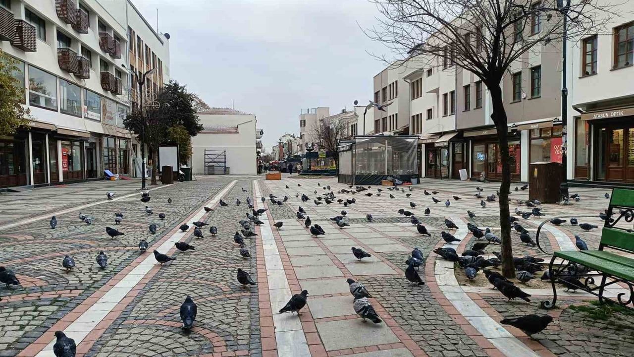 Edirne'de Kar Gitti, Ayaz Geldi: Cadde ve Sokaklarda Pandemi Sessizliği