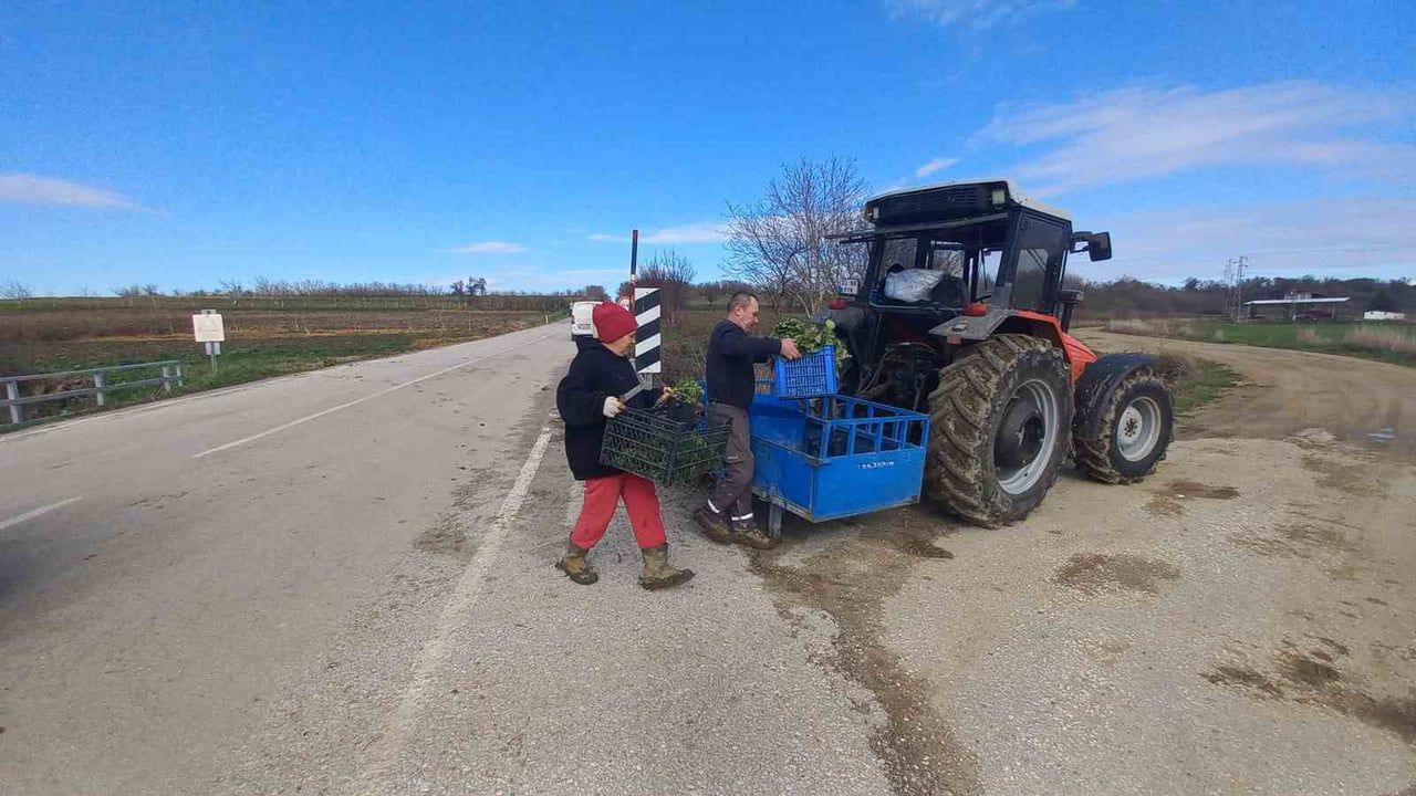 Edirne Uzunköprü'de Dört Mevsim Tarlada: Toprağa Emek, Çocuklara Gelecek