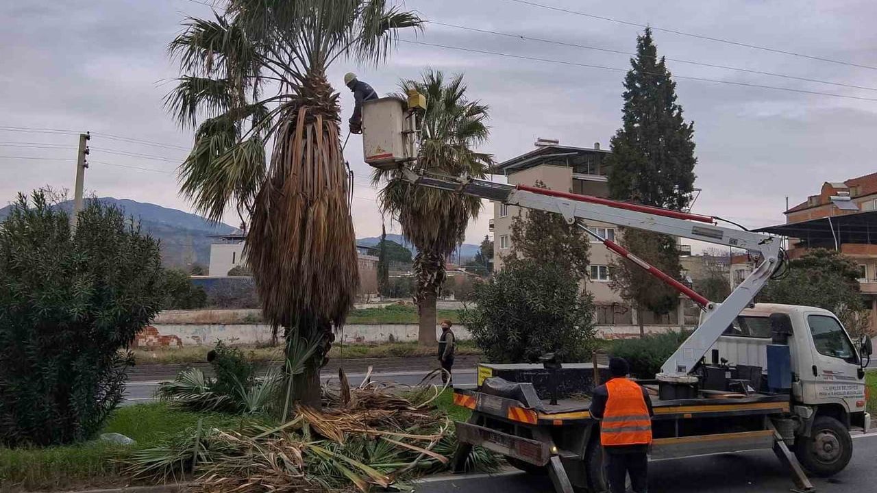 Efeler Belediyesi’nden Umurlu Karayolu’nda Orta Refüj Budama Çalışması