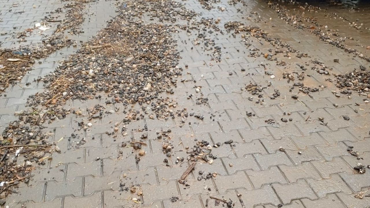 Efeler'de sağanak sonrası belediye ekipleri sahada