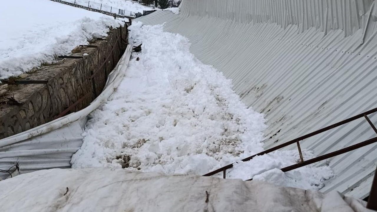 Elazığ'da Ahırın Tavanı Çöktü: 1 Büyükbaş Hayvan T…