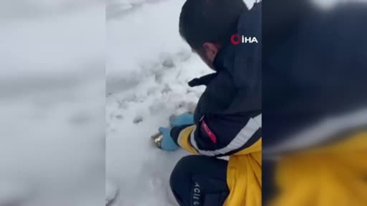 Elazığ'da Başına Konserve Sıkışan Kedi 112 Ekipleri Tarafından Kurtarıldı