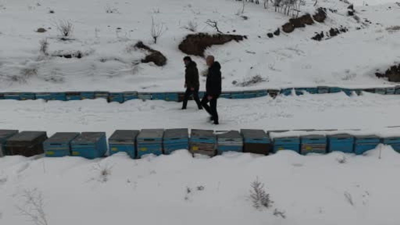 Elazığ'da Kar Arıcılara Umut Verdi: Koloni Kayıpları Minimuma Düştü