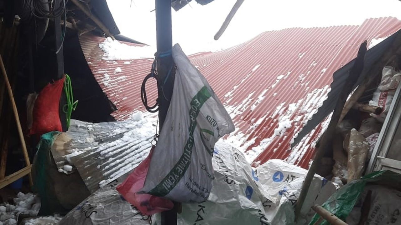 Elazığ'da Kar ve Fırtına: Bahçelere Köyündeki Marketin Çatısı Çöktü