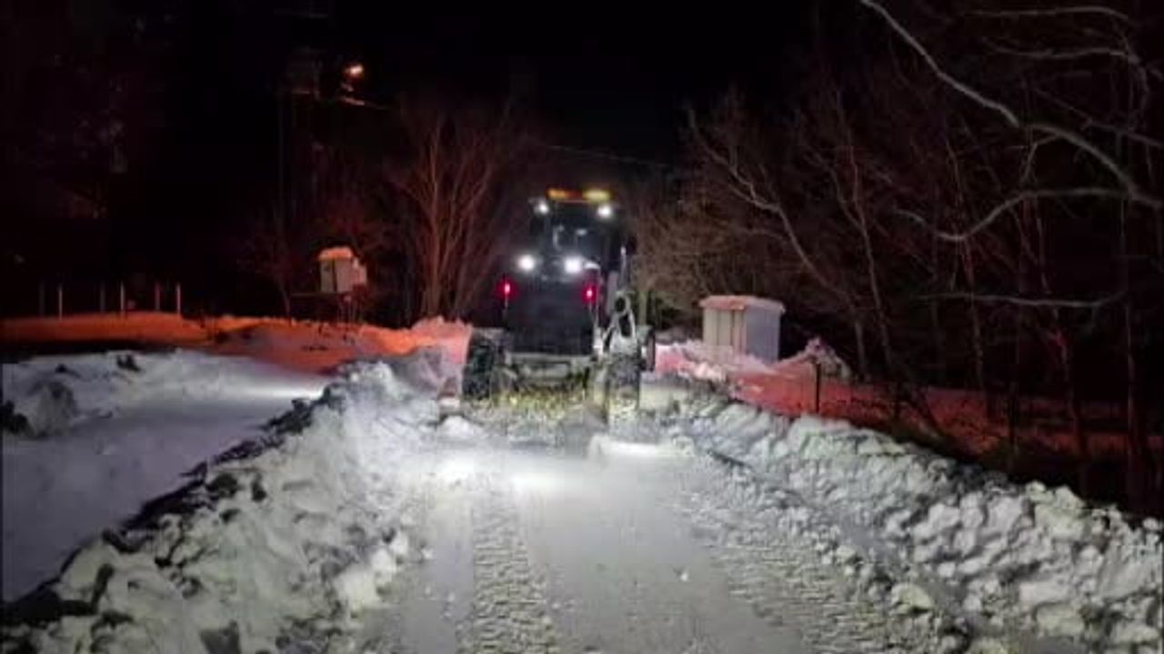 Elazığ'da karla mücadele: 276 köy yolu ulaşıma açıldı