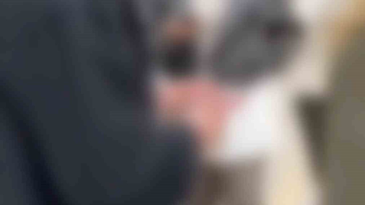 Elazığ'da Muhtar Durakta Genç Kızları Gizlice Kayda Alan Şahsa Müdahale Etti