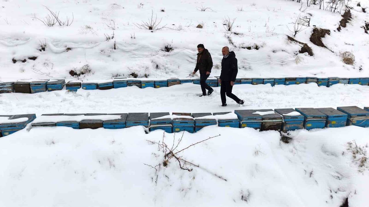 Elazığ'ta Kar Yağışı Arıcılara Umut Verdi: Koloni Kayıpları Azaldı