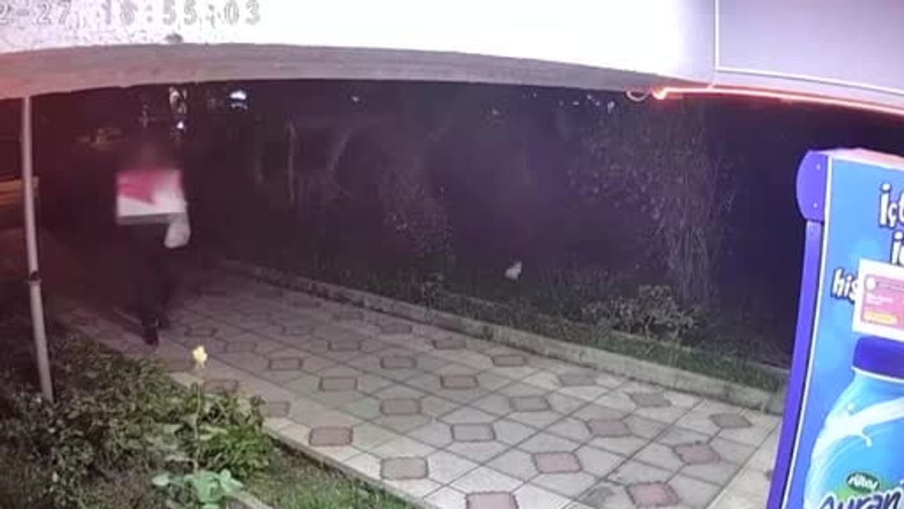 Elif Kumal'ın Son Görüntüsü: Erdek Kapıdağ'da Kameraya Yansıdı