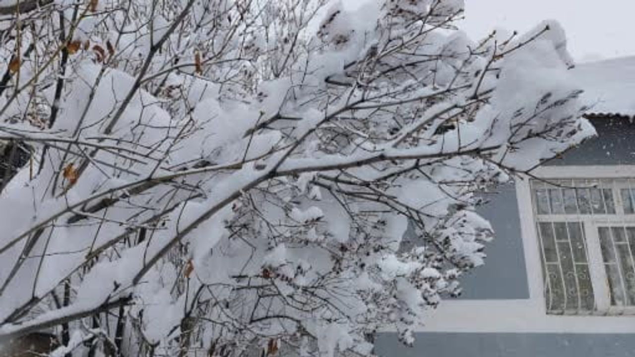 Erciş'te Yoğun Kar Hayatı Felç Etti: Merkezde 70 cm, Yüksek Kesimlerde 1-1.5 m
