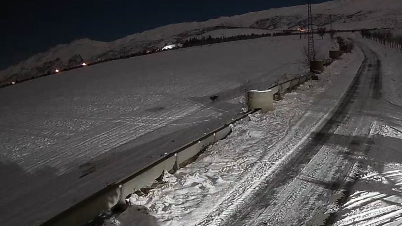 Ereğli’de kurt sürüsü şehir merkezine yakın görüldü