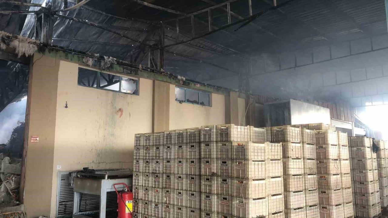 Erzin'de Acer Fresh Yangını: 19 Yaşındaki İşçi Dumandan Öldü