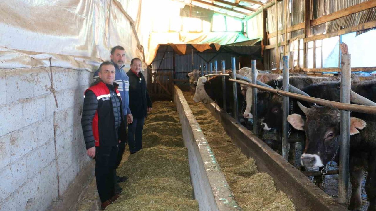 Erzincan'da Aile Hayvancılık Ziyareti: Alper Koçaker Orta Ölçekli İşletmelerin Süt Üretimine Dikkat Çekti