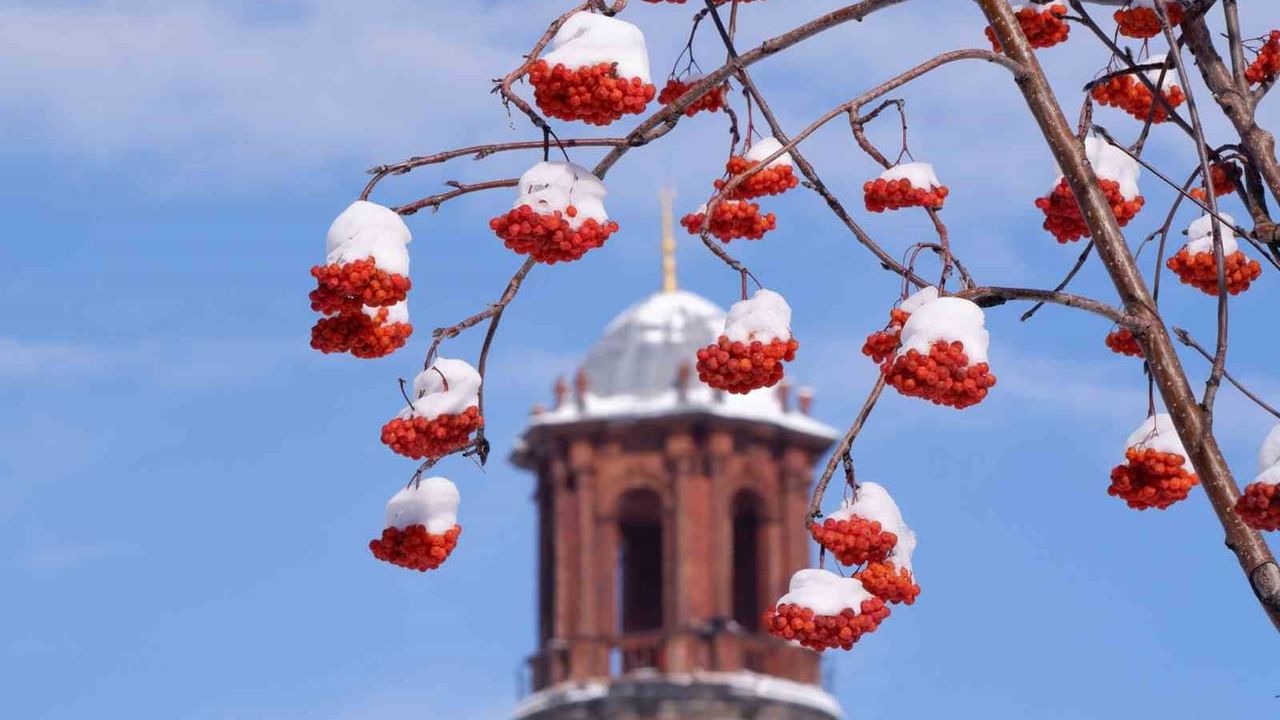 Erzurum'da Buzlanma, Don ve Çığ Uyarısı