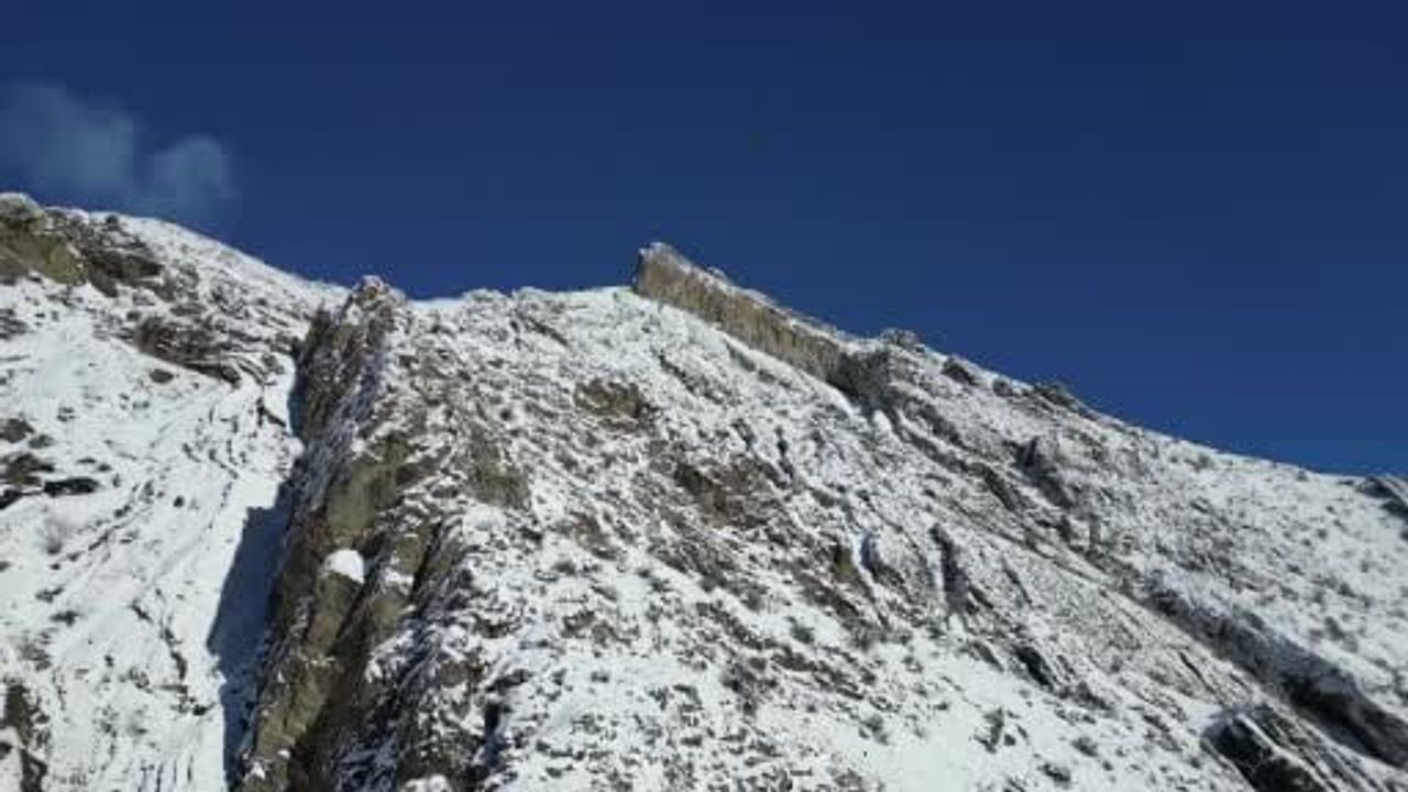 Erzurum’da Sakallı Akbaba Drone ile Görüntülendi