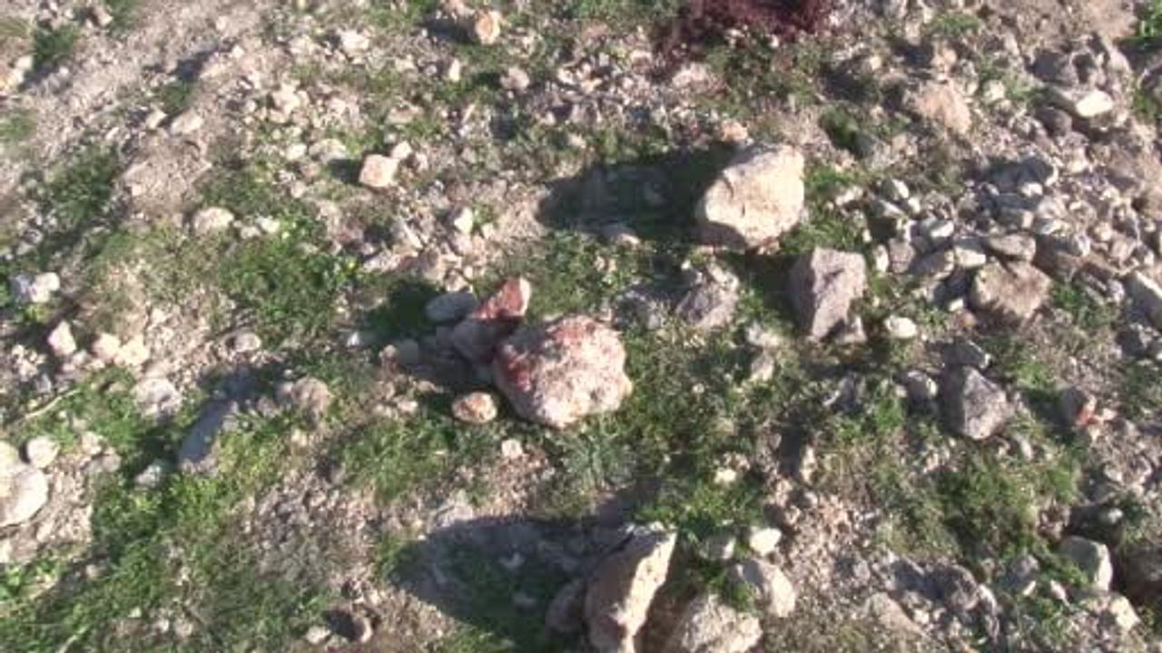 Eski İHD İzmir Şube Başkanı Ali Aydın’ın Katil Zanlısı Tutuklandı