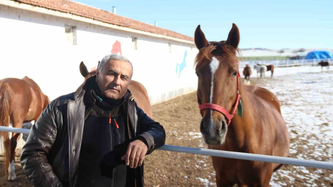 Eskişehir'de At Yetiştiriciliği ve Kış Bakımı: Yenel Kaya'nın Mücadelesi