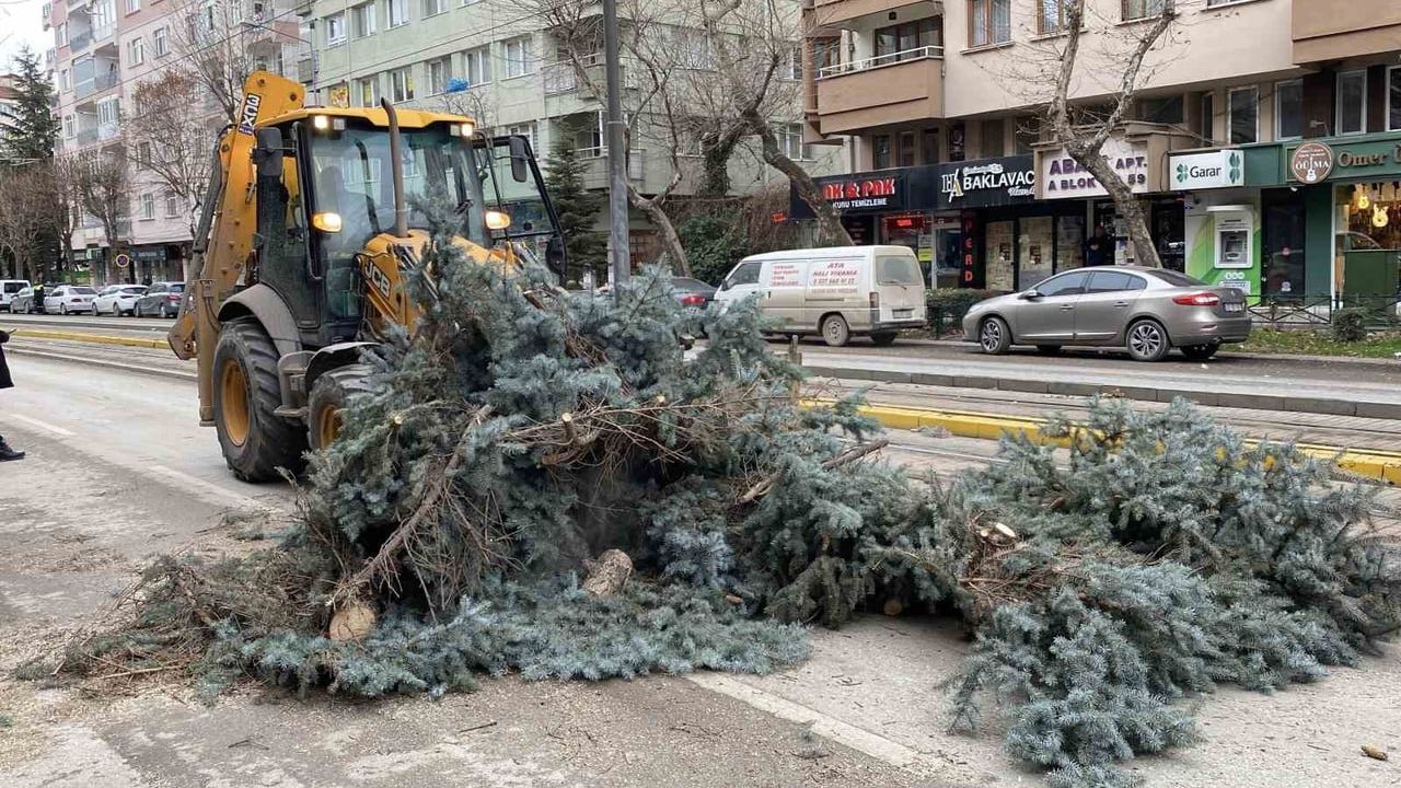 Eskişehir'de Fırtına: Ağaçlar Devrildi, Tramvay Seferleri Aksadı