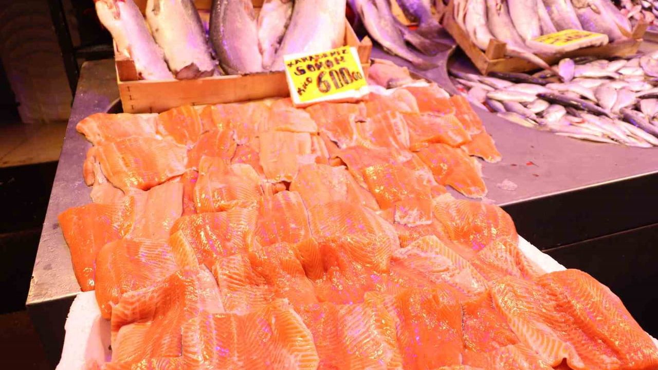 Eskişehir'de soğuk hava balık arzını vurdu: Hamsi 250 TL