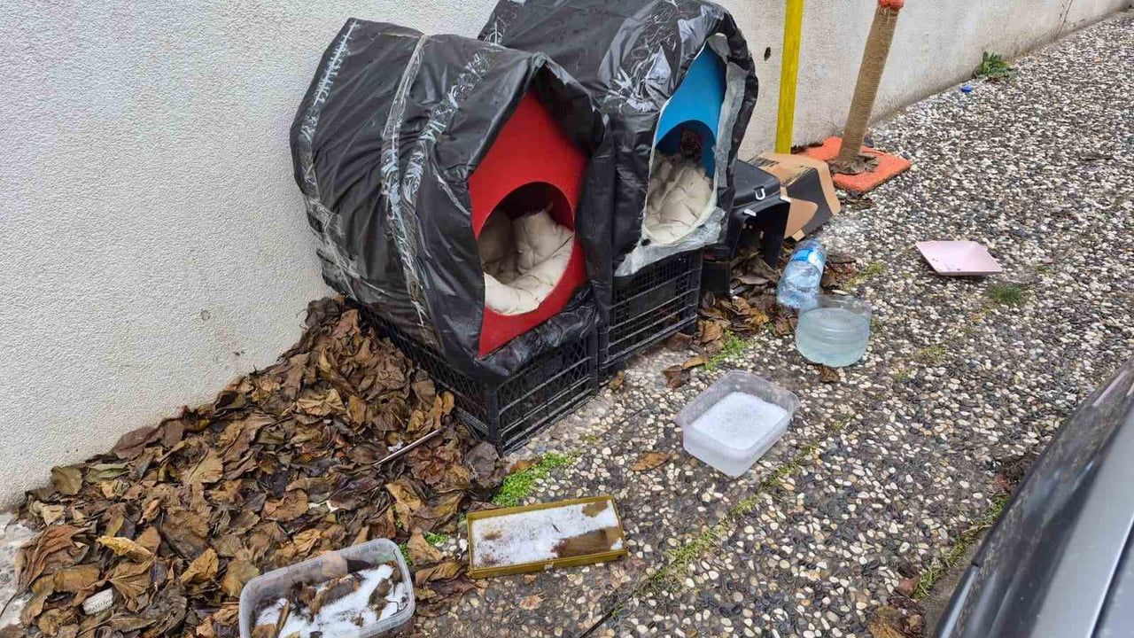 Eskişehir'de Sokak Hayvanlarına Örnek Destek: Battaniyeli ve Sıcak Su Torbalı Yuva