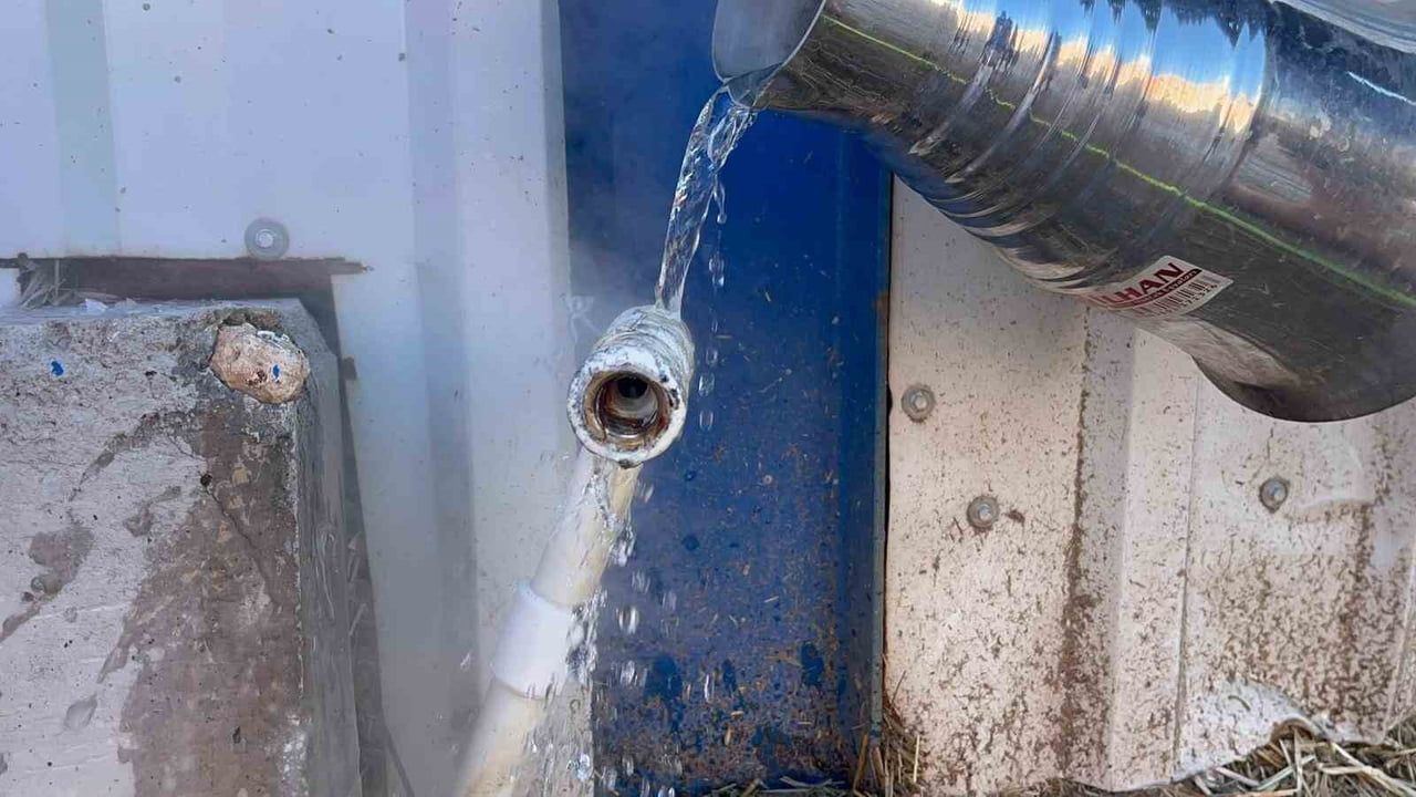 Eskişehir'de su şebekeleri dondu: besiciler hayvanları susuz kaldı