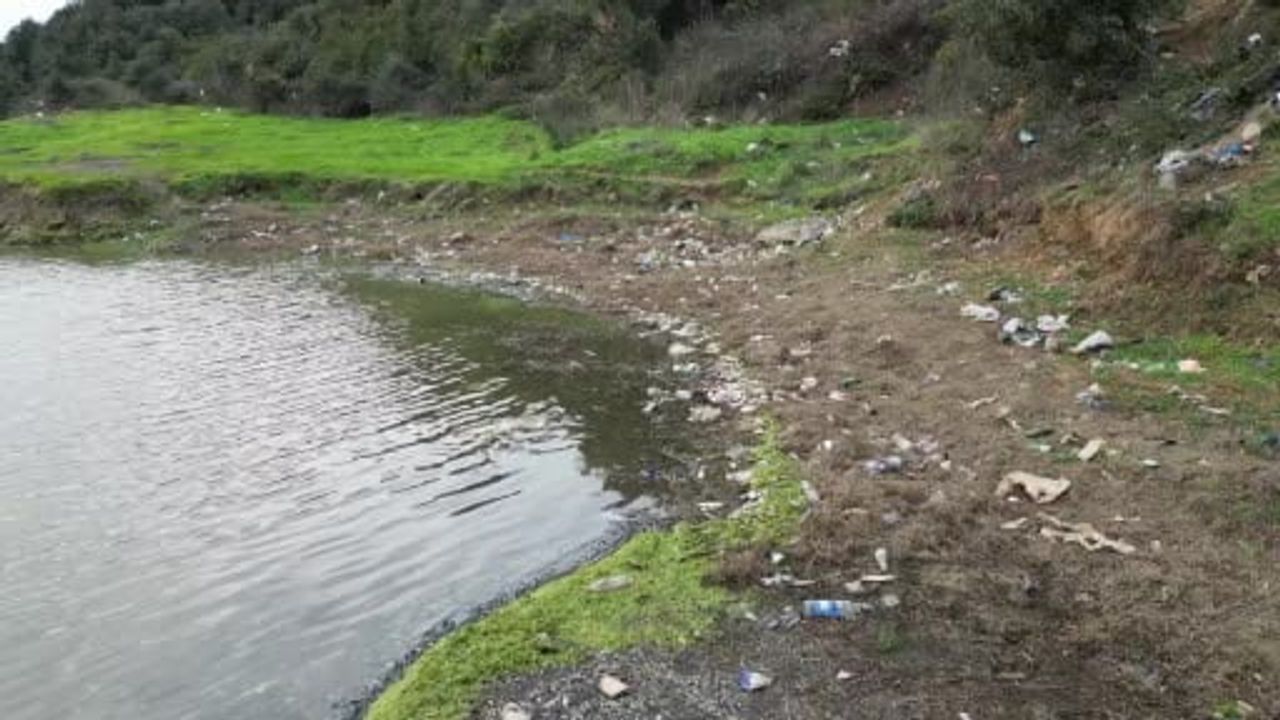 Eyüpsultan’da Gölette Yosun Patlaması: Çok Sayıda Balık Telef Oldu