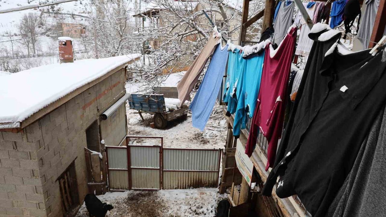 Feke'de Hatice Atlı'nın 1600 Rakımdaki Zorlu Hayvancılık Mesaisi