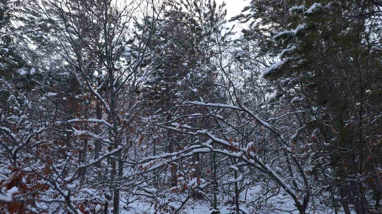 Feke'de Kar Altındaki Canlılara Şefkat: Mansurlu'da Yem ve Yiyecek Bırakıldı