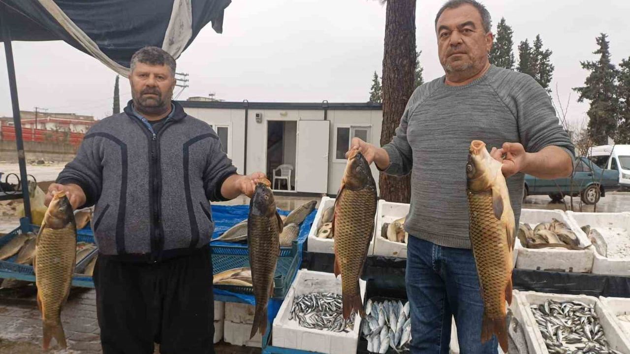 Gaziantep Araban'da Soğuk Hava Balığa Talebi Artırdı