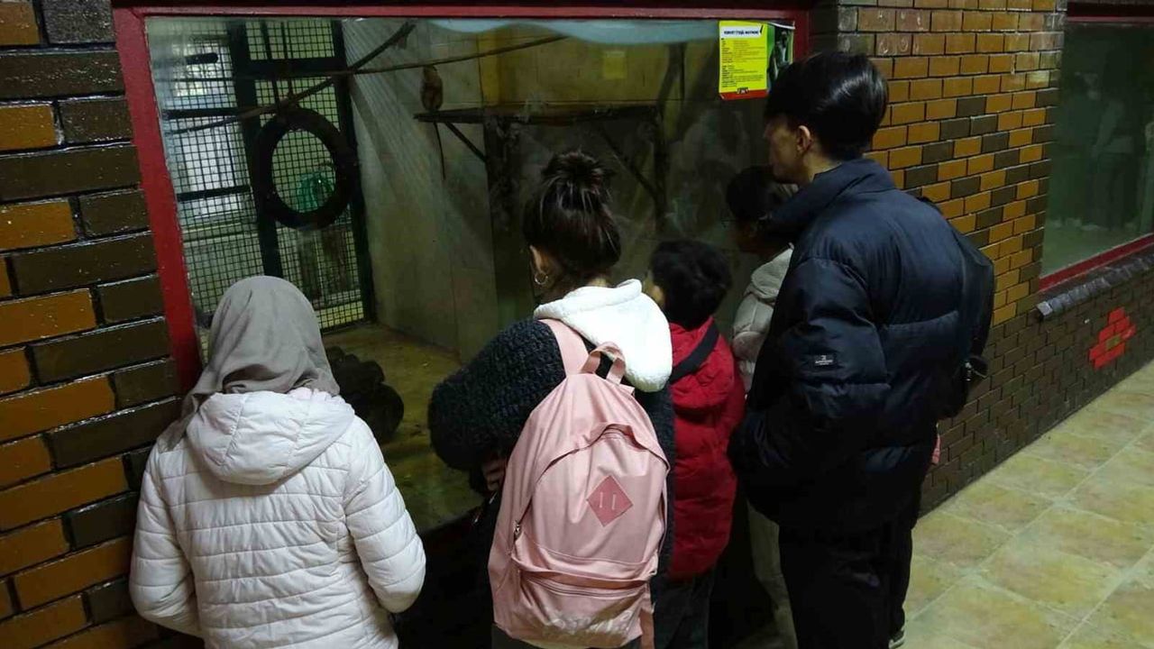 Gaziantep Doğal Yaşam Parkı'nda Yarıyıl Tatili Yoğunluğu