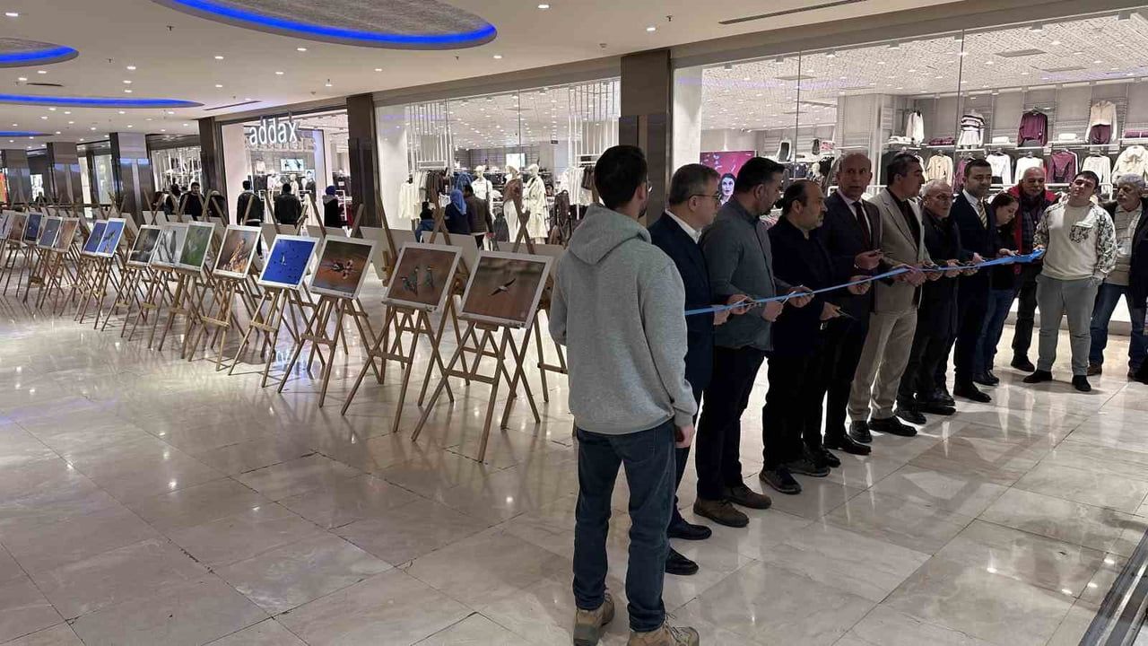 Gaziantep’in Kuşları Sergisi Sanko Park'ta Açıldı