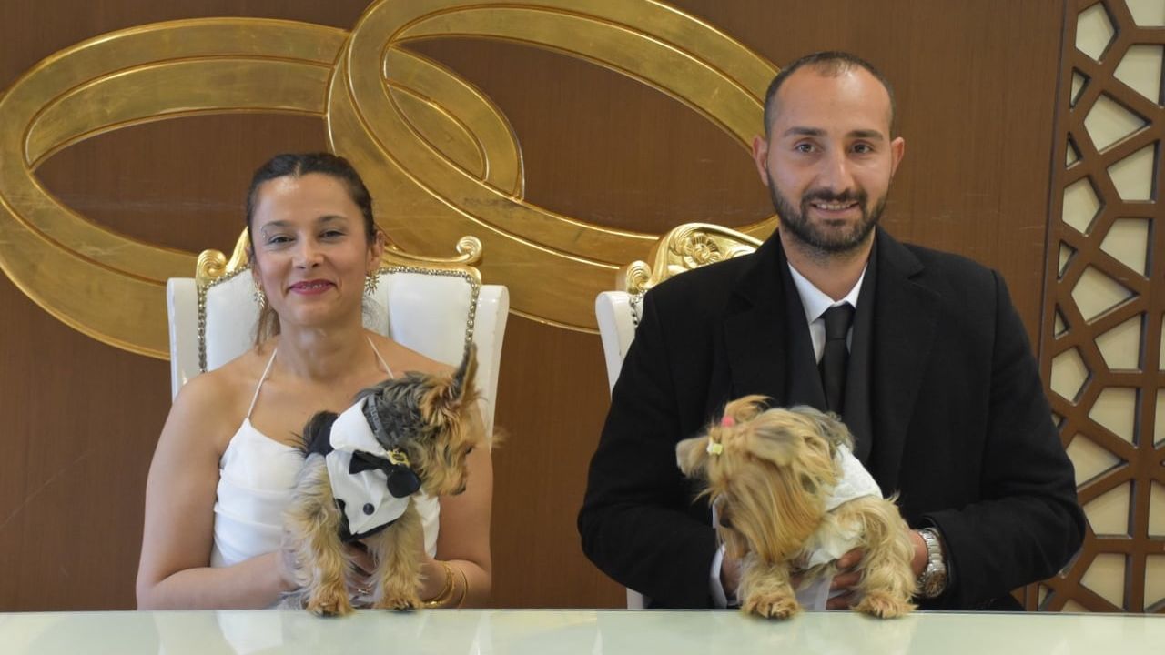 Gaziantep'te Çift Köpekleriyle Nikah Tazeledi