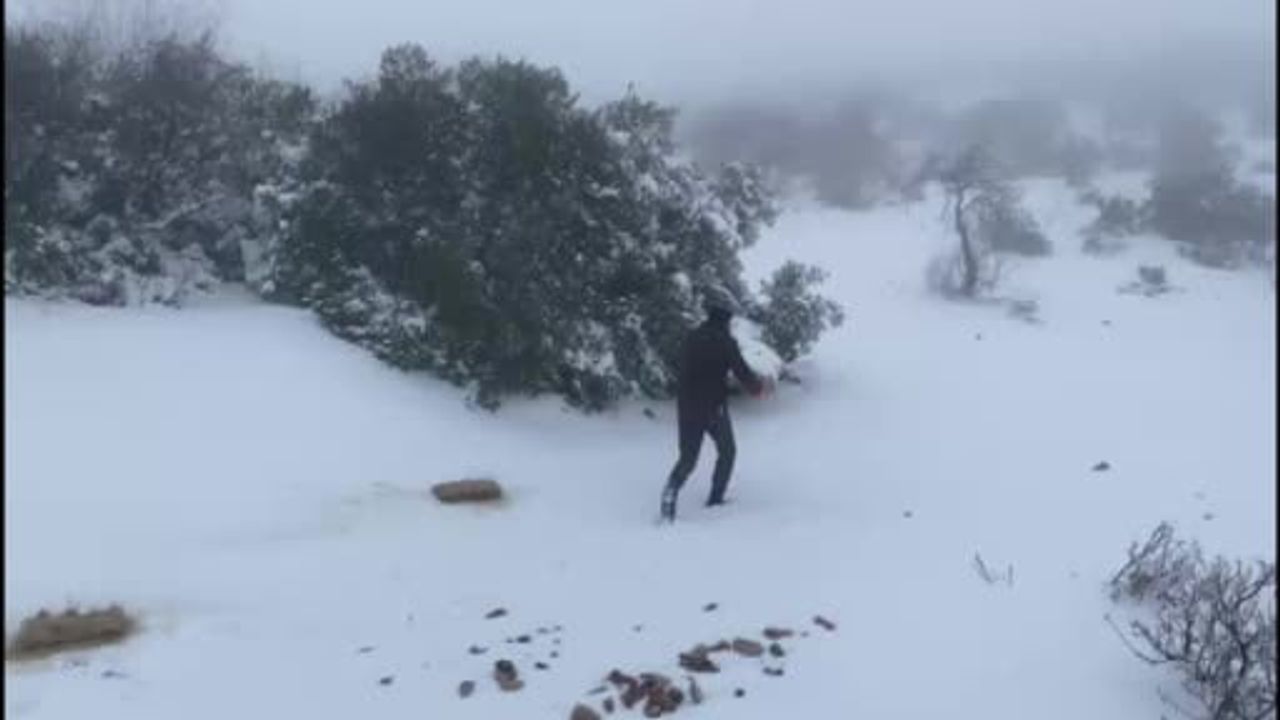 Gaziantep'te Yaban Hayvanlarına 300 Kilo Yem Bırakıldı