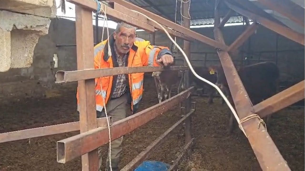 Gaziantep'te Yoğun Kar Ahırın Çatısını Çöktürdü: Maddi Hasar, Can Kaybı Yok