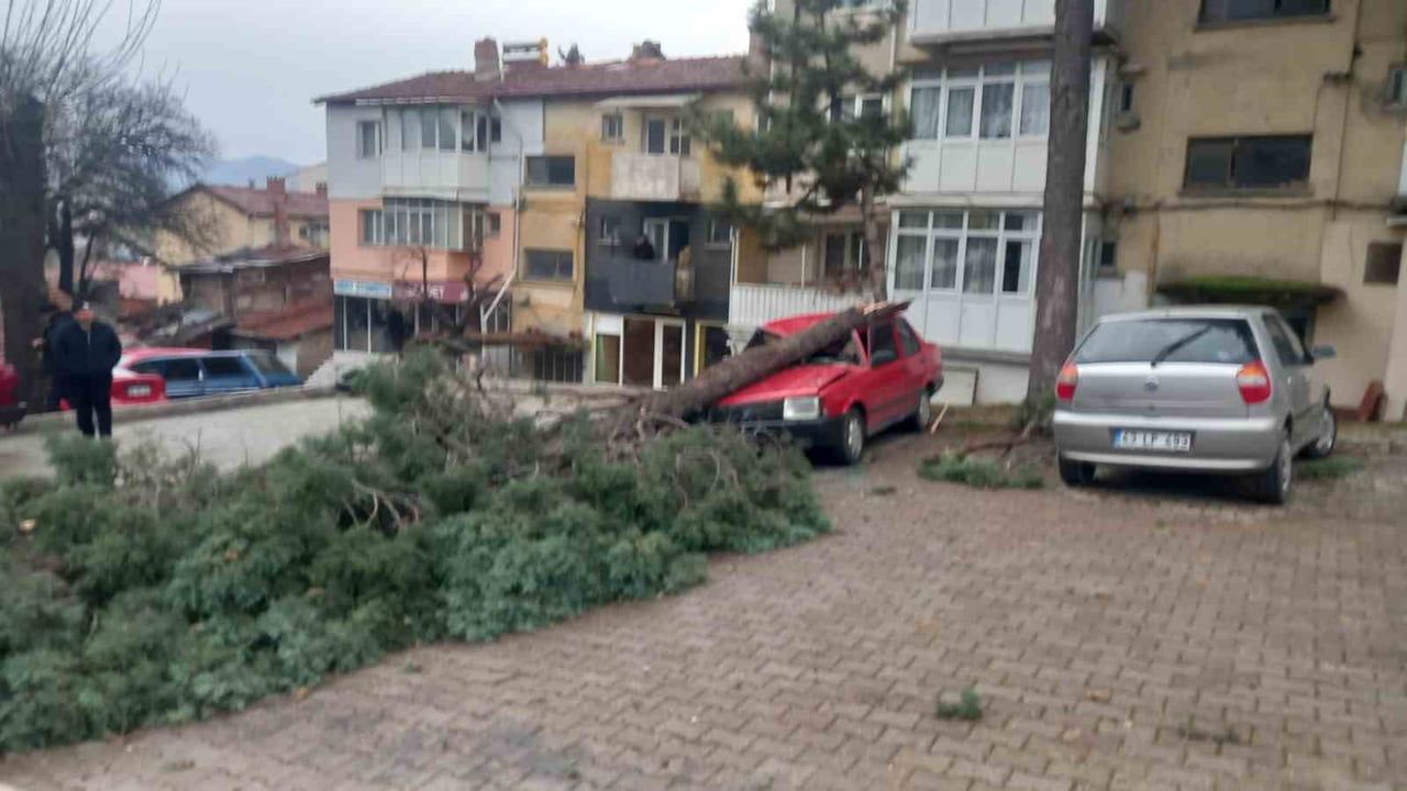 Gediz'te Şiddetli Rüzgar Ağaçları Devirdi, Binalarda Hasar Oluştu