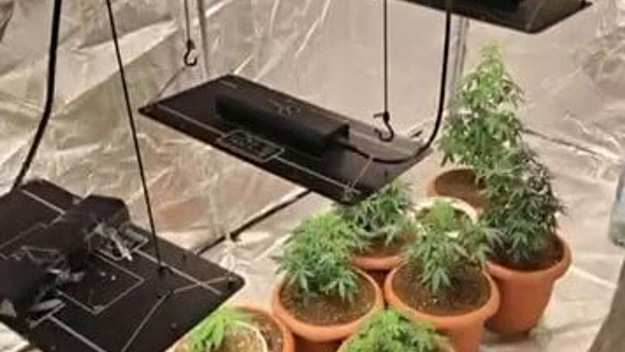 Geyve'de Evin Odasını Uyuşturucu Serasına Çeviren 2 Şüpheli Yakalandı