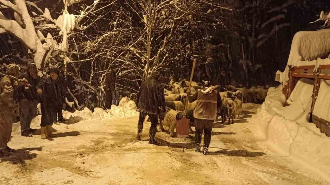 Giresun'da Çığ Faciası: Yukarı Boynuyoğun'da 1 Çoban Hayatını Kaybetti