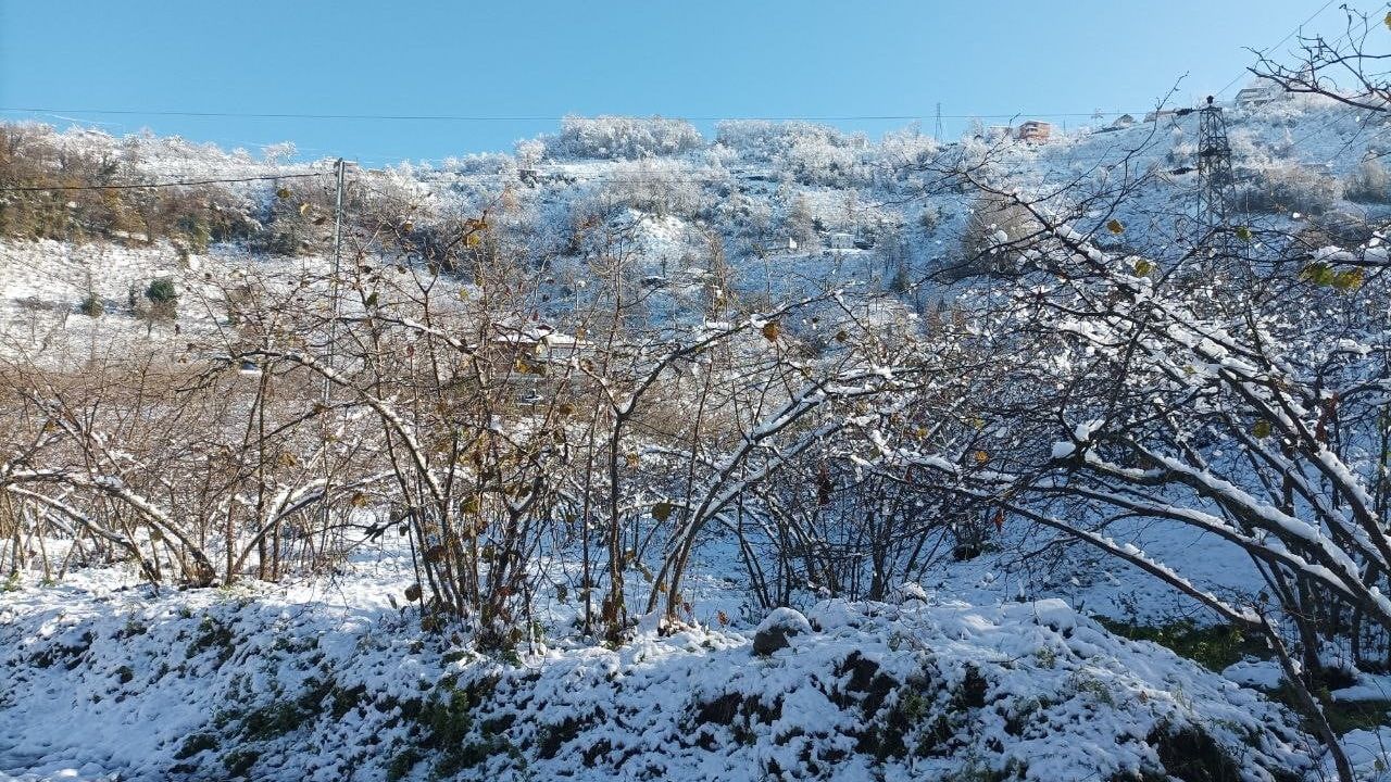 Giresun'da Mevsiminde Yağan Kar Fındık Üreticisine Umut Verdi