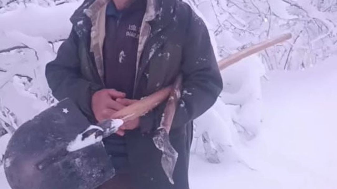 Giresun Valiliği Anında Müdahale: Deregözü'ne Karlı Yollar Aşıldı, Yem Ulaştırıldı