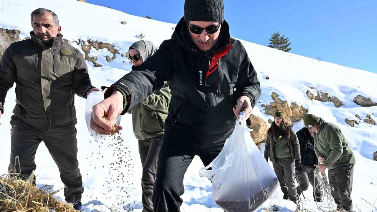 Gümüşhane’de Yaban Hayvanlarına Yemleme Seferberliği