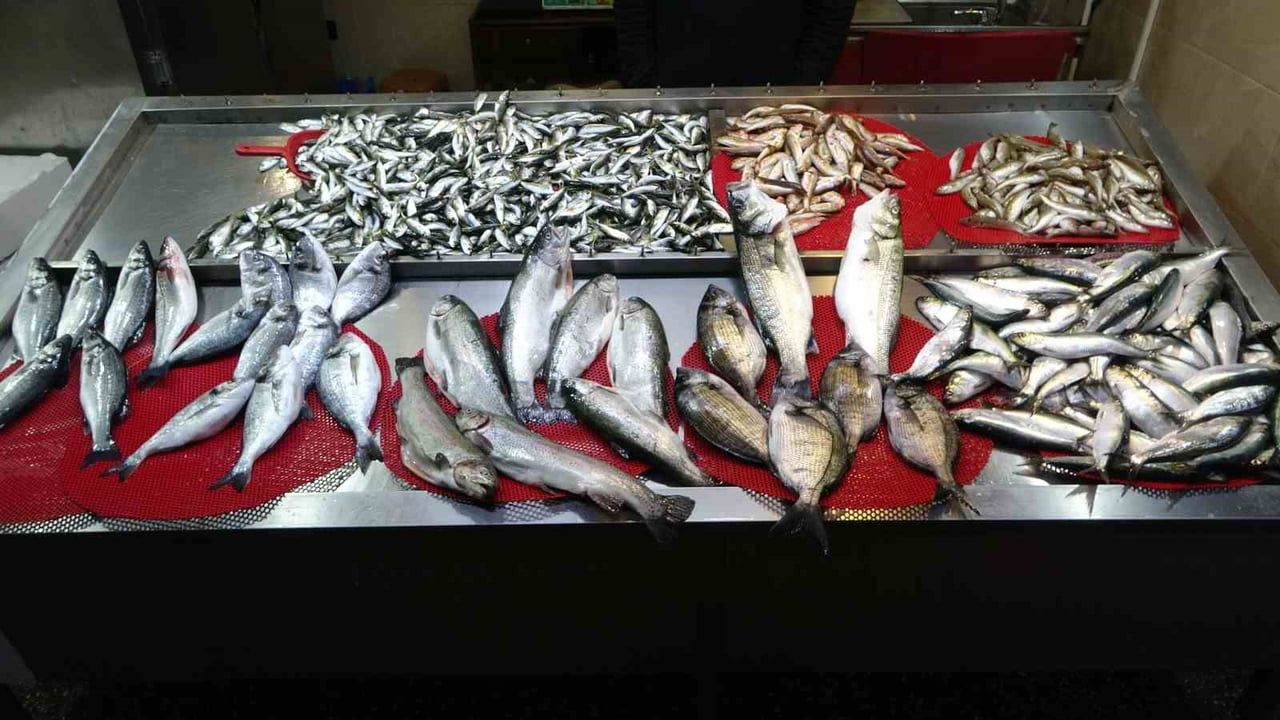 Gürcistan Hamsisi Gelmeyince Tezgahlar Buzhane Hamsisine Kaldı