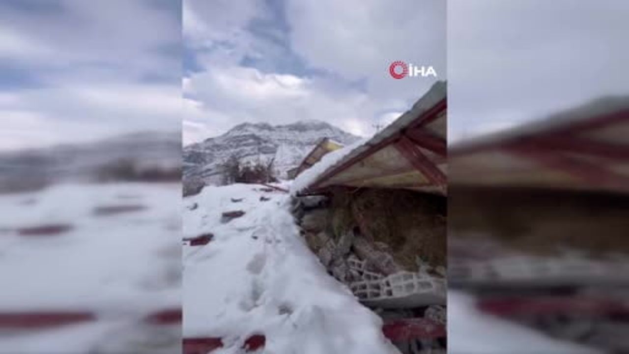 Hakkari Çukurca'da Kar Yükü Ahırı Çöktürdü