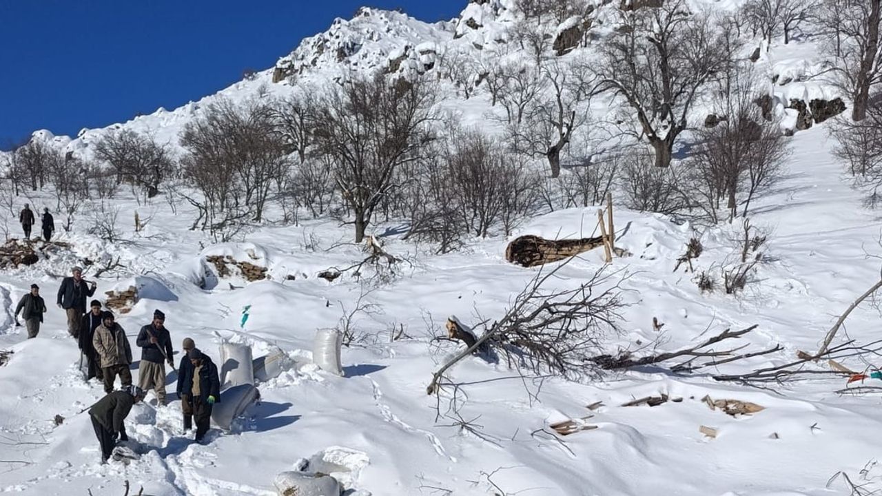 Hakkari Çukurca Taşbaşı'da Çığ: Çok Sayıda Küçükbaş Hayvan Telef Oldu