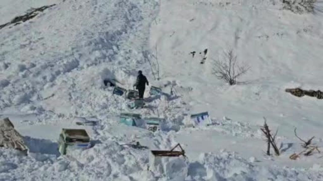 Hakkari'de 32 Arı Kovanı Çığ Altında Kaldı: 10 Kovan Kayıp, 20'si Telef