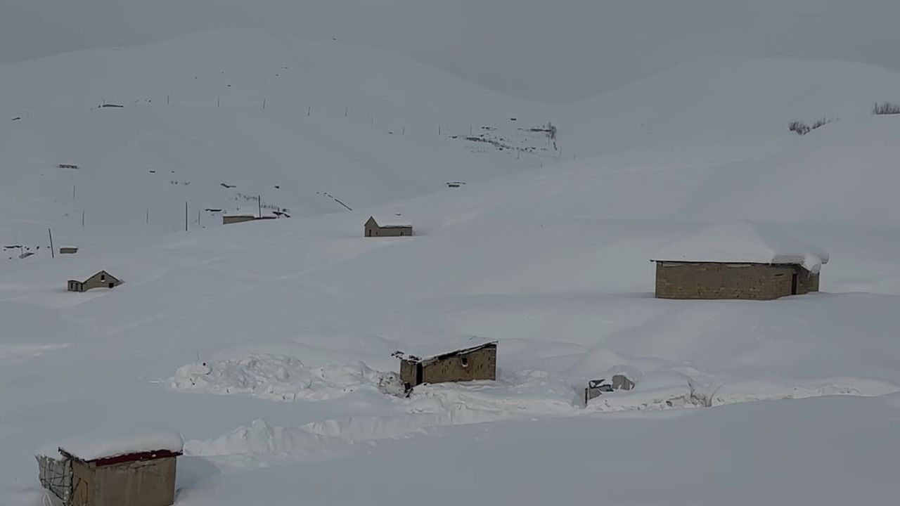 Hakkari'de Kar Yağışı: 229 Yerleşim Yerinin Yolu Kapandı